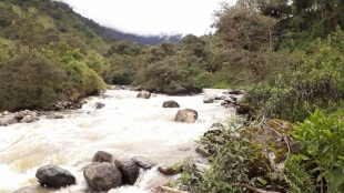 Imagen río guango